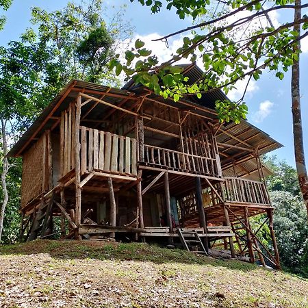 Orangutantreksumatra & Lovely Jungle Lodge Only Book If You Are Treking With Us บูกิตลาวัง ภายนอก รูปภาพ
