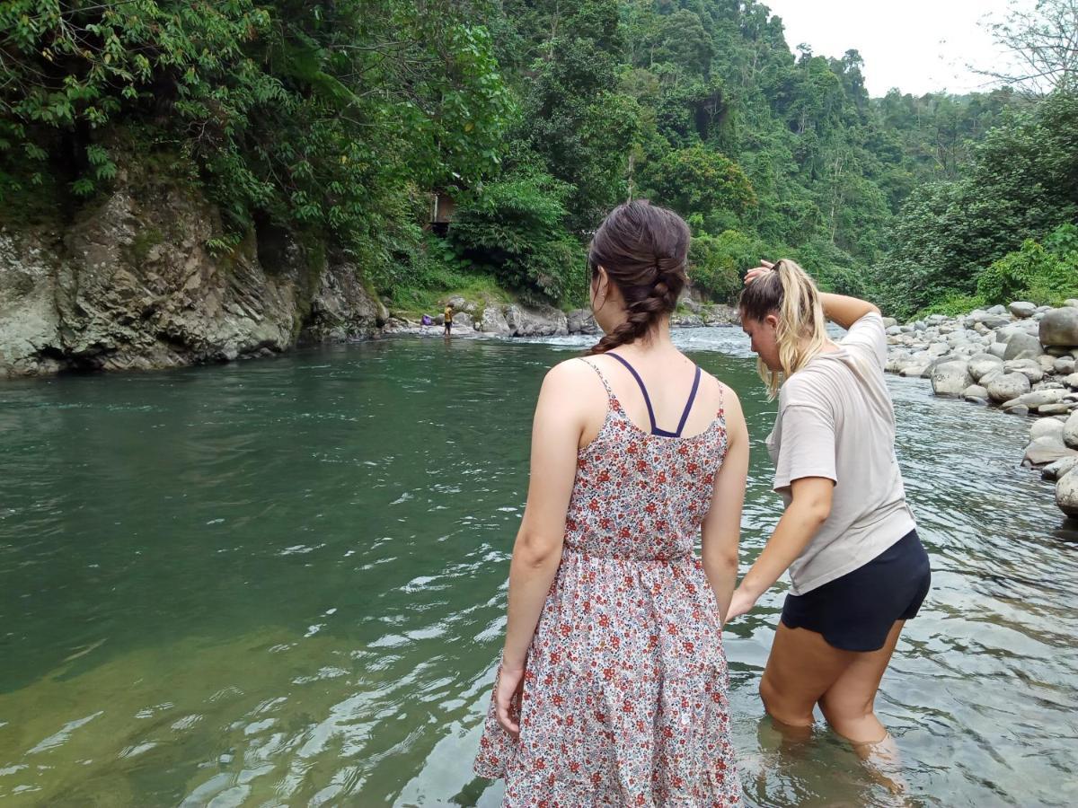 Orangutantreksumatra & Lovely Jungle Lodge Only Book If You Are Treking With Us บูกิตลาวัง ภายนอก รูปภาพ