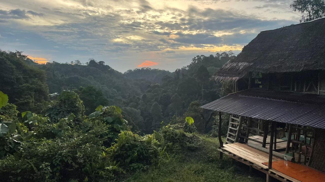 Orangutantreksumatra & Lovely Jungle Lodge Only Book If You Are Treking With Us บูกิตลาวัง ภายนอก รูปภาพ