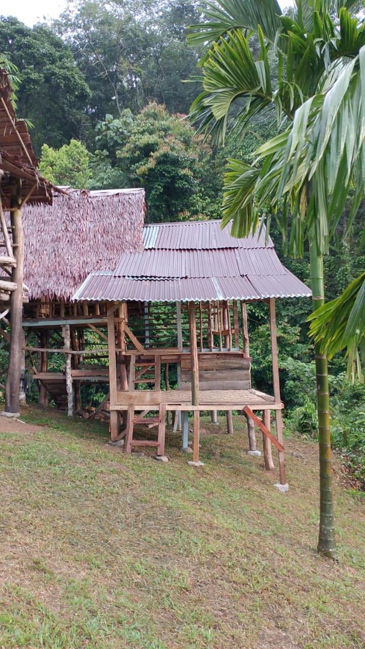 Orangutantreksumatra & Lovely Jungle Lodge Only Book If You Are Treking With Us บูกิตลาวัง ภายนอก รูปภาพ