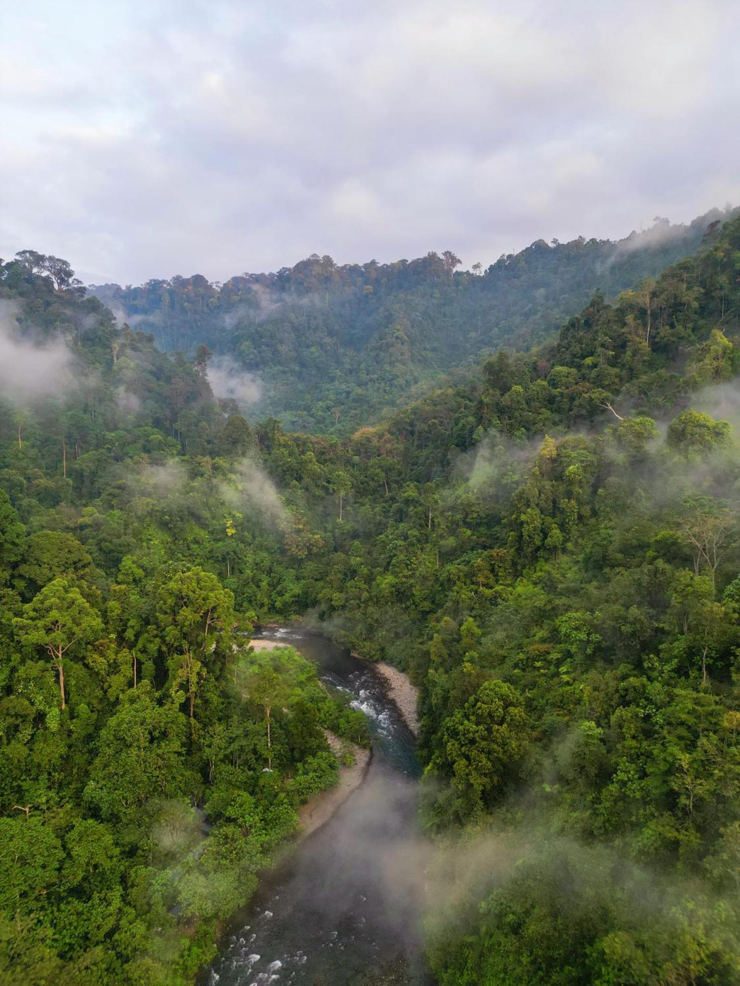 Orangutantreksumatra & Lovely Jungle Lodge Only Book If You Are Treking With Us บูกิตลาวัง ภายนอก รูปภาพ